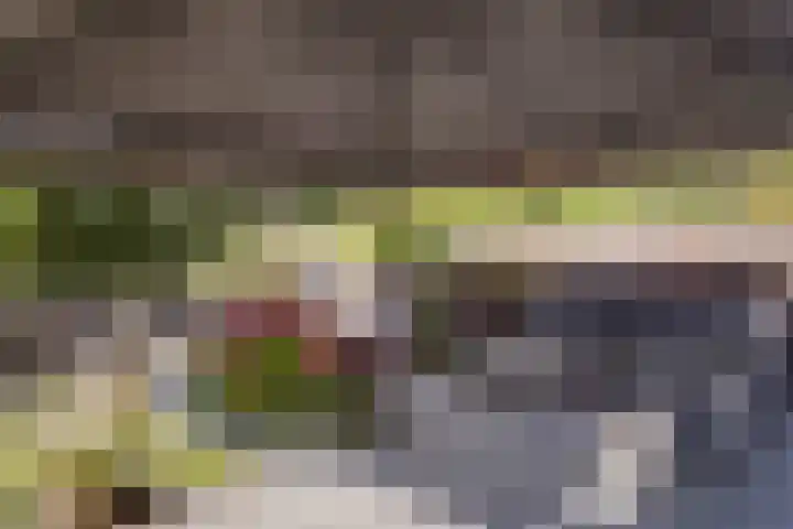 Dukaat 37 Hoorn thumbnail 42