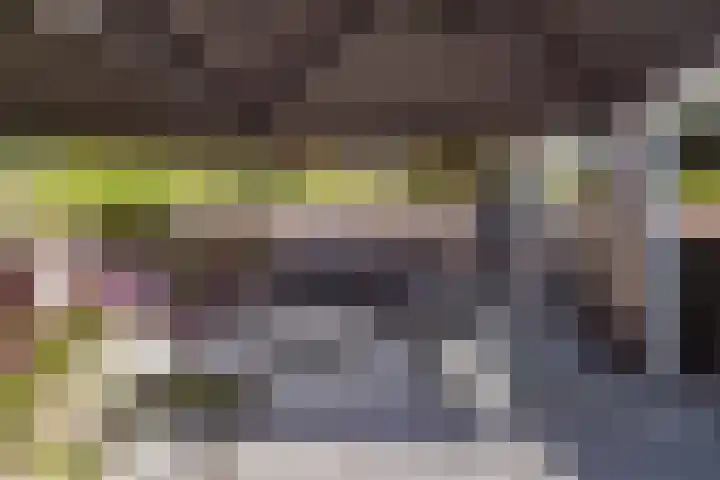 Dukaat 37 Hoorn thumbnail 43