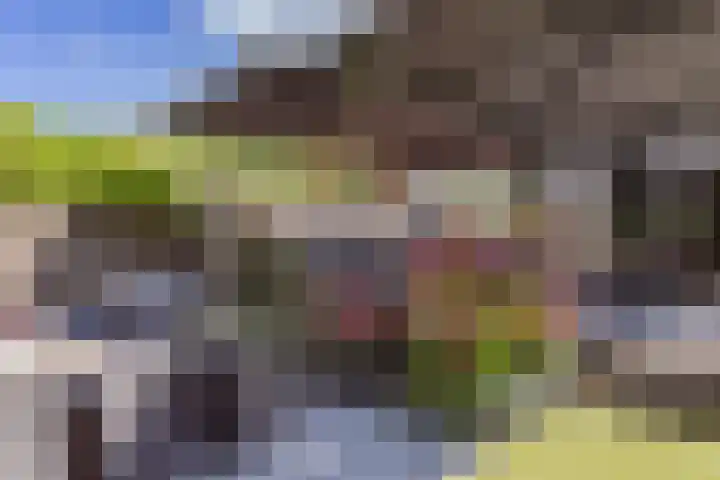 Dukaat 37 Hoorn thumbnail 45