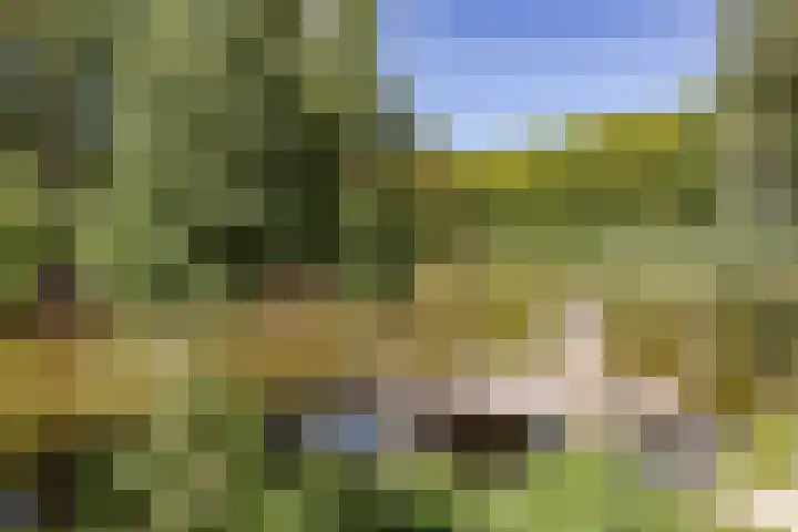 Dukaat 37 Hoorn thumbnail 47