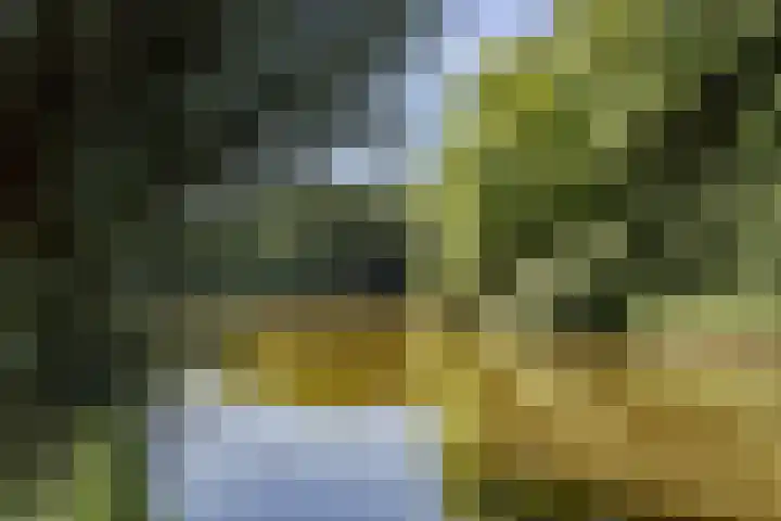 Dukaat 37 Hoorn thumbnail 48