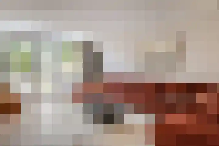 Dukaat 37 Hoorn thumbnail 5