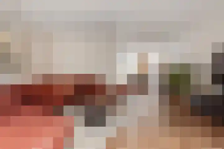 Dukaat 37 Hoorn thumbnail 7