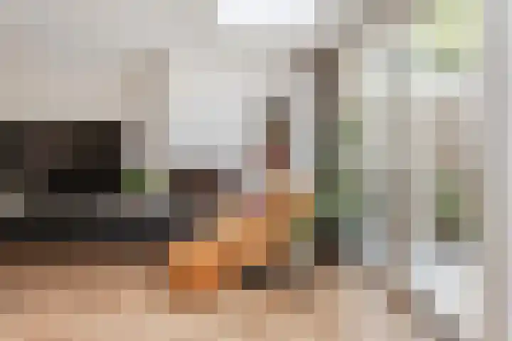 Dukaat 37 Hoorn thumbnail 9