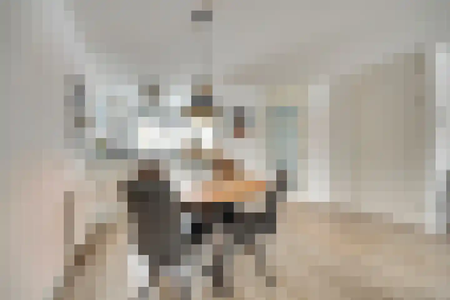 Dukaat 40 Dronten thumbnail 10