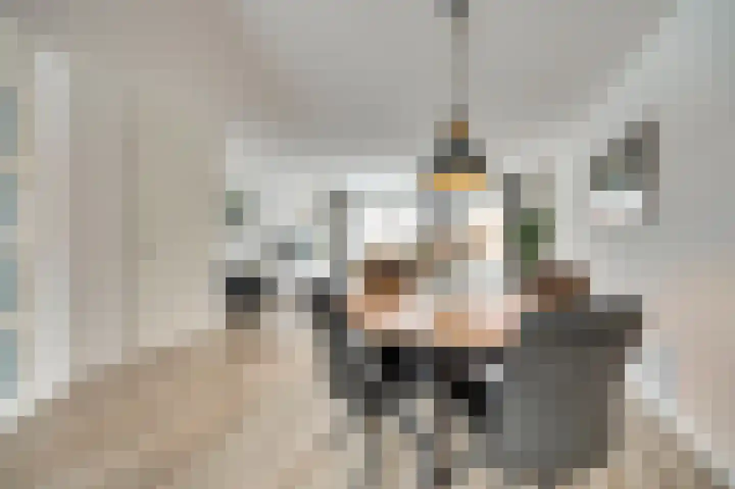 Dukaat 40 Dronten thumbnail 13