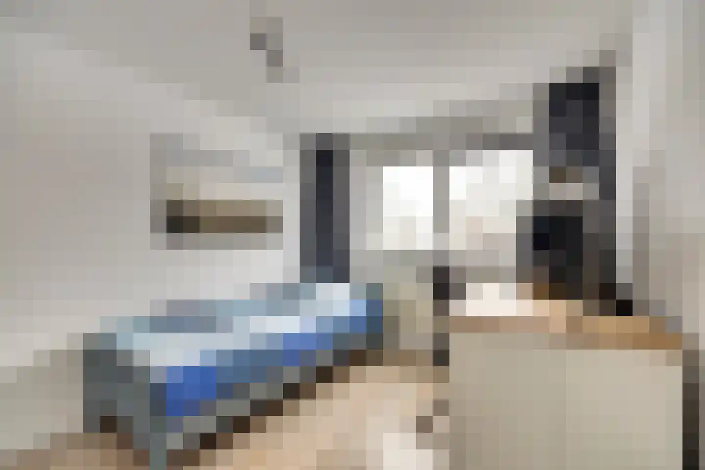 Dukaat 40 Dronten thumbnail 17