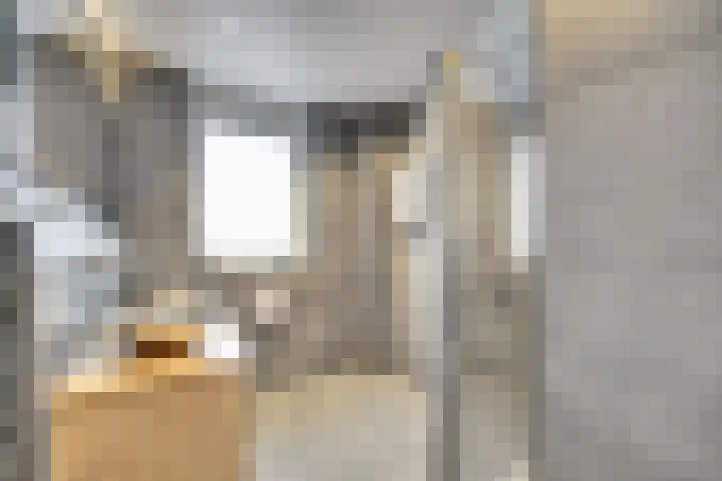 Dukaat 40 Dronten thumbnail 4