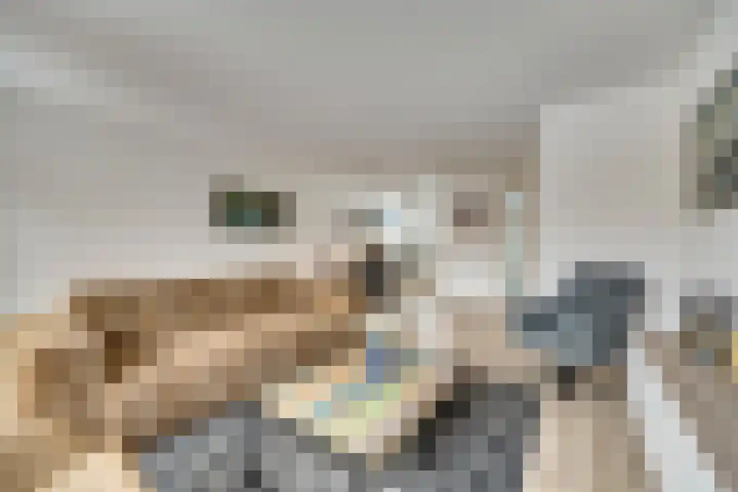 Dukaat 40 Dronten thumbnail 8