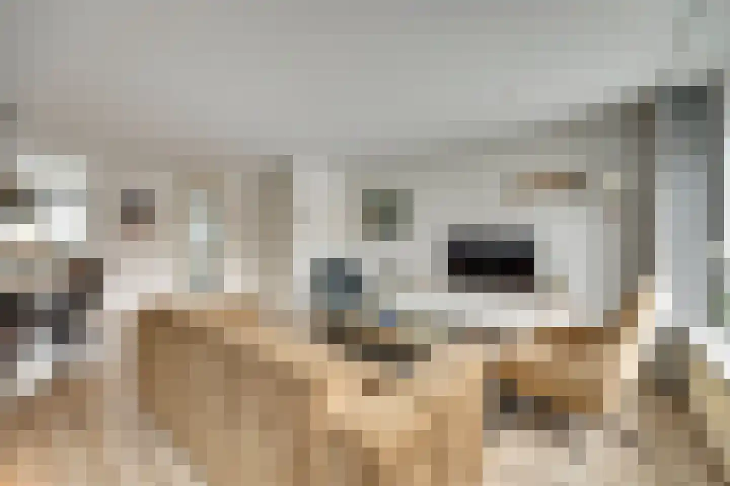 Dukaat 40 Dronten thumbnail 9