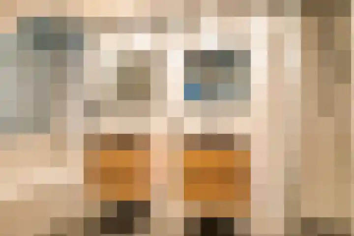 Dukaat 46 Hoorn thumbnail 22