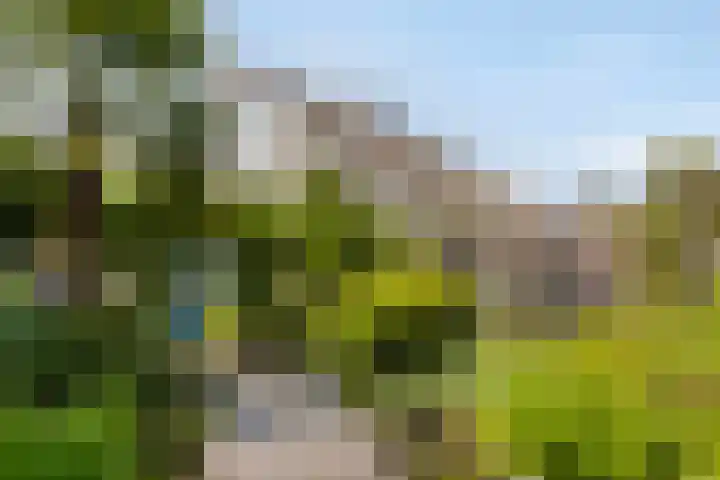 Dukaat 46 Hoorn thumbnail 33
