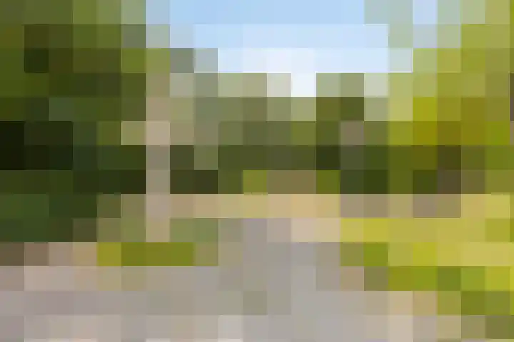 Dukaat 46 Hoorn thumbnail 38
