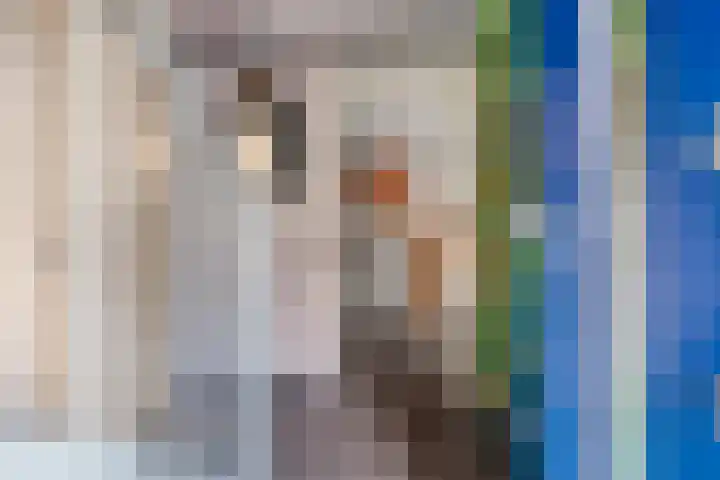 Dukaat 46 Hoorn thumbnail 6