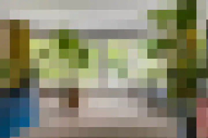 Dukaat 46 Hoorn thumbnail 9