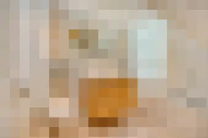 Dukaat 47 Hoorn thumbnail 26