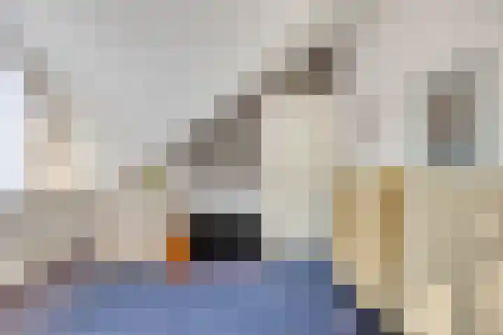 Dukaat 47 Hoorn thumbnail 30