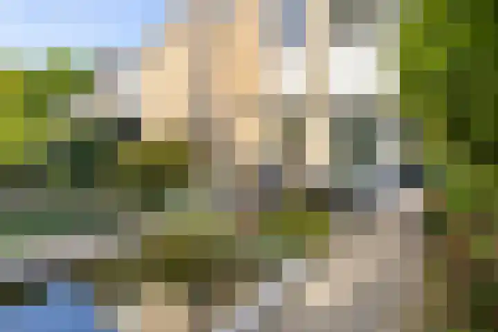 Dukaat 47 Hoorn thumbnail 34