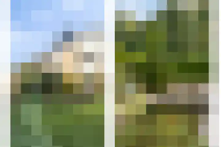 Dukaat 47 Hoorn thumbnail 36