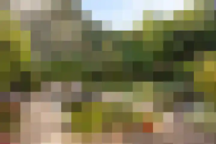Dukaat 47 Hoorn thumbnail 37