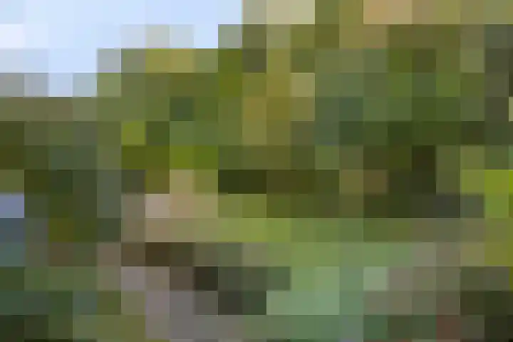 Dukaat 47 Hoorn thumbnail 38
