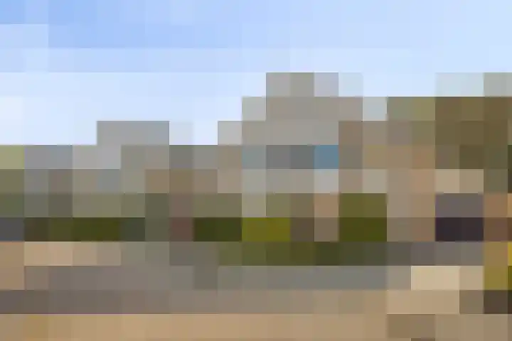 Dukaat 47 Hoorn thumbnail 40