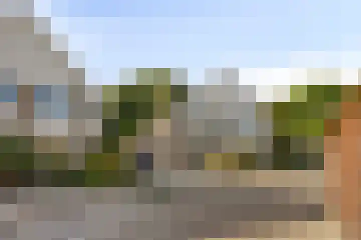 Dukaat 47 Hoorn thumbnail 41
