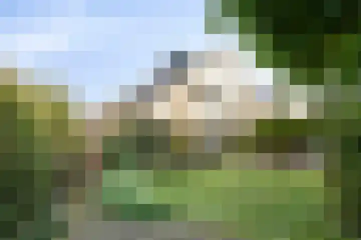 Dukaat 47 Hoorn thumbnail 6