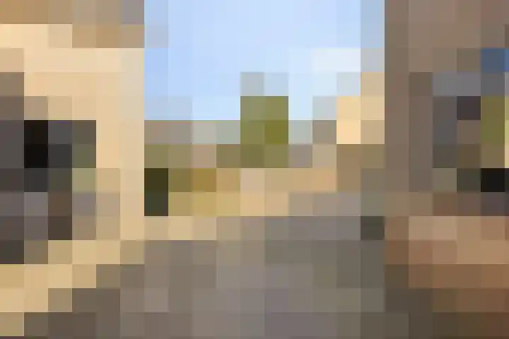 Dukaat 47 Hoorn thumbnail 8