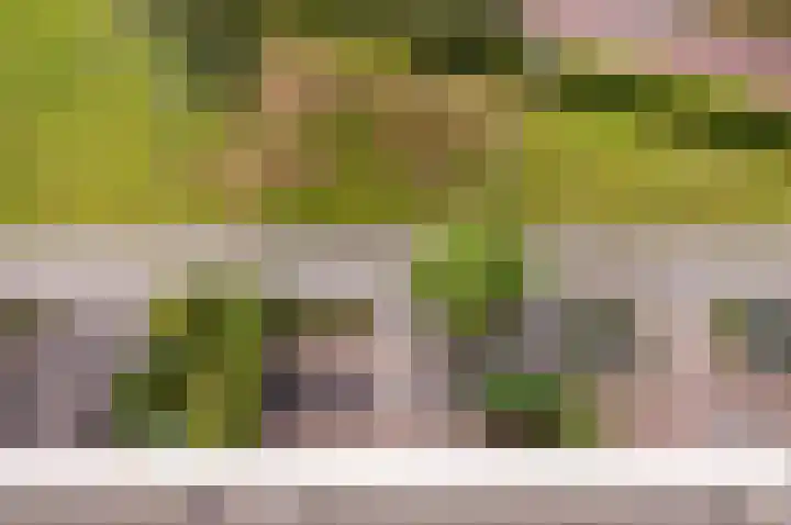 Dukaat 50 Dronten thumbnail 33