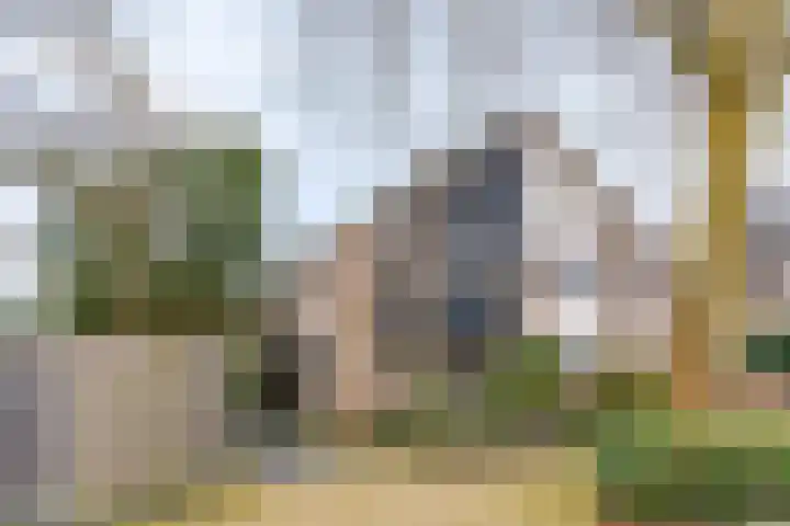 Dukaat 69 Hoorn