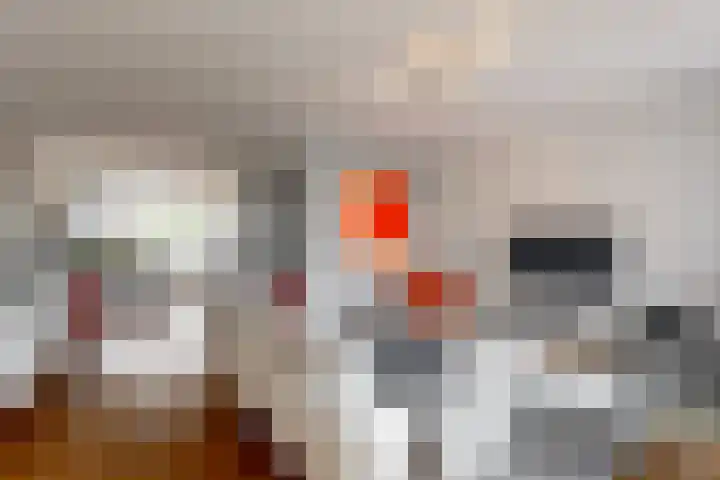 Dukaat 69 Hoorn thumbnail 11