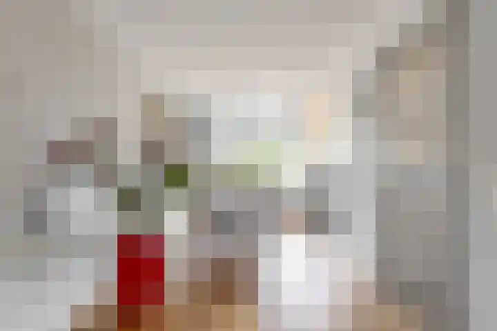 Dukaat 69 Hoorn thumbnail 13