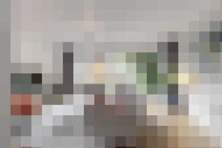 Dukaat 69 Hoorn thumbnail 14