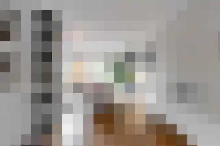 Dukaat 69 Hoorn thumbnail 15