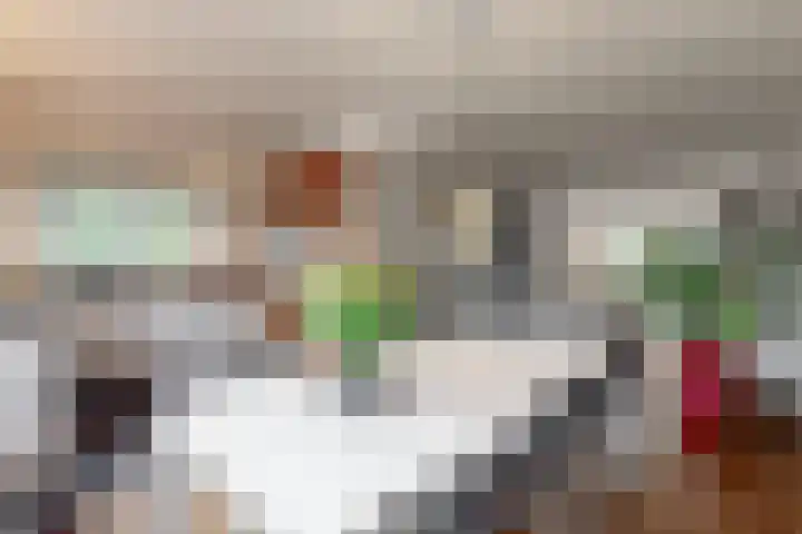 Dukaat 69 Hoorn thumbnail 16