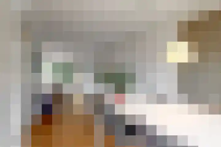 Dukaat 69 Hoorn thumbnail 18