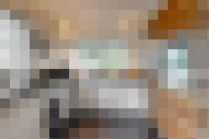 Dukaat 69 Hoorn thumbnail 19