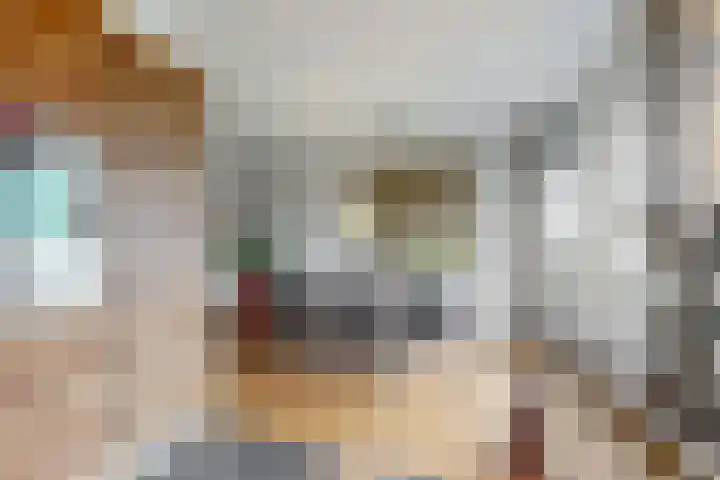 Dukaat 69 Hoorn thumbnail 20