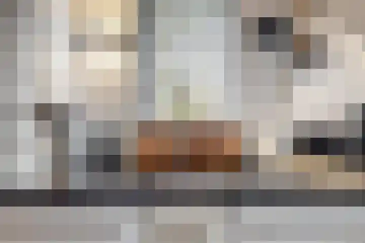 Dukaat 69 Hoorn thumbnail 22