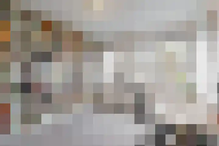 Dukaat 69 Hoorn thumbnail 24