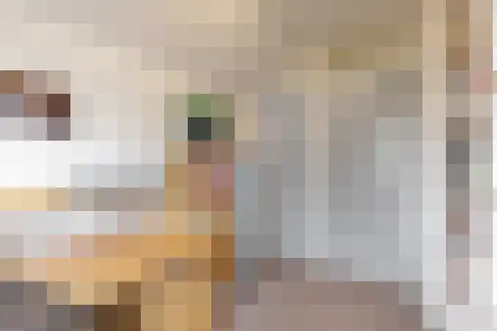 Dukaat 69 Hoorn thumbnail 27