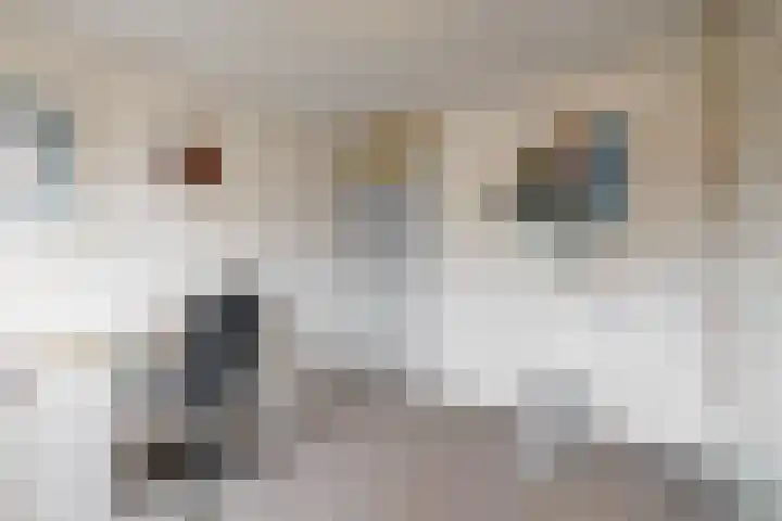 Dukaat 69 Hoorn thumbnail 28