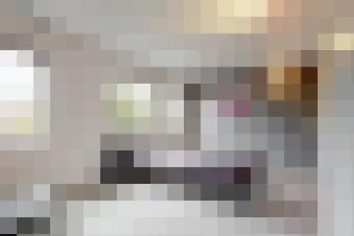 Dukaat 69 Hoorn thumbnail 30