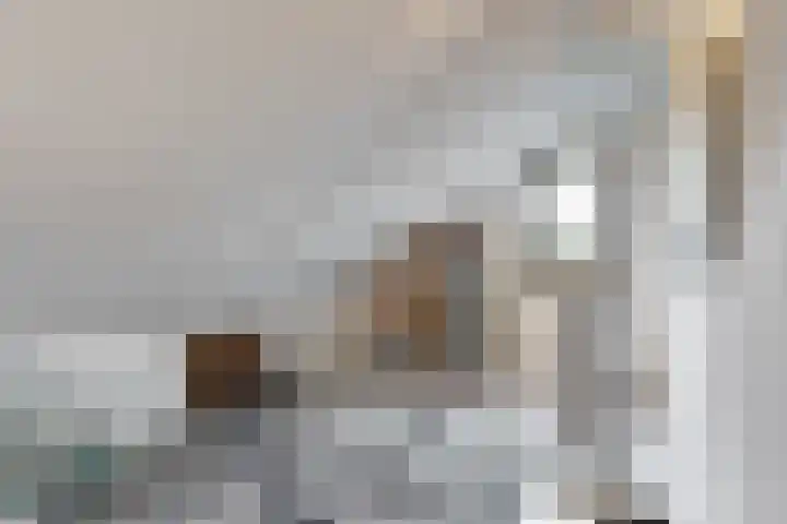 Dukaat 69 Hoorn thumbnail 33