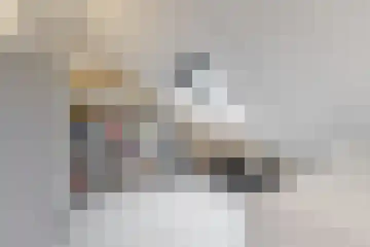 Dukaat 69 Hoorn thumbnail 37