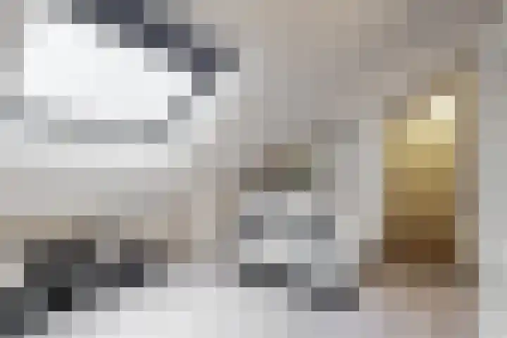 Dukaat 69 Hoorn thumbnail 38