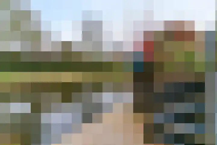 Dukaat 69 Hoorn thumbnail 39