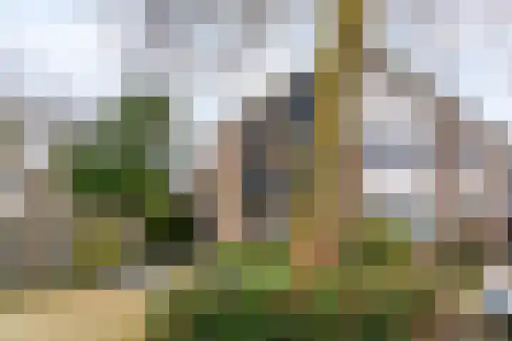 Dukaat 69 Hoorn thumbnail 4