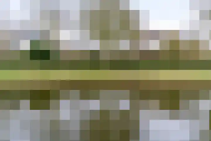 Dukaat 69 Hoorn thumbnail 40